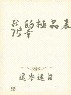 我的极品表嫂第75章