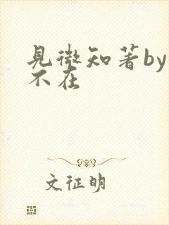 见微知著by音不在