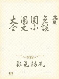 大团圆免费阅读全文小说