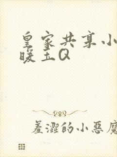 皇家共享小公主暖玉Q