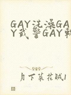 GAY洗澡GAY武警GAY软件