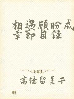 相遇顾盼成欢全章节目录