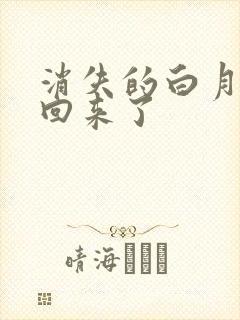 消失的白月光又回来了