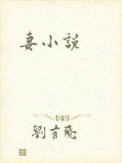 妻小说