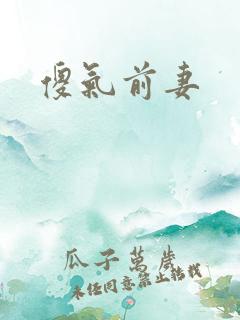 傻气前妻