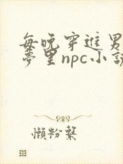每晚穿进男神的梦里npc小说