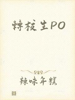 转校生PO