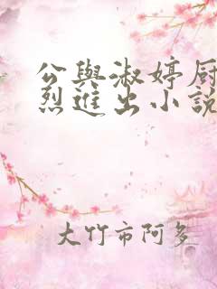 公与淑婷厨房猛烈进出小说