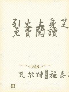 引火上身芝麻糖免费阅读