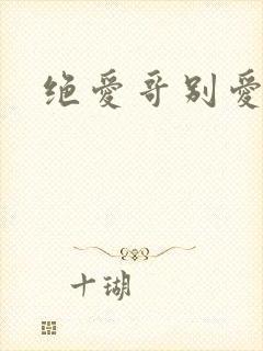 绝爱哥别爱我