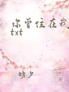 你曾住在我心上txt