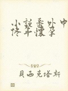 小说番外中结局佟年怀孕