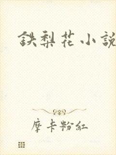 铁梨花小说