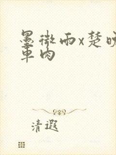 墨微雨x楚晚宁车肉