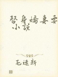 替身娇妻要离婚 小说