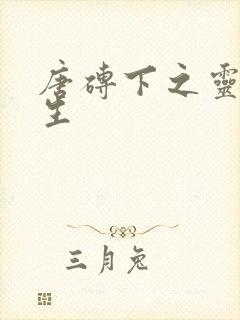 唐砖下之灵域双生