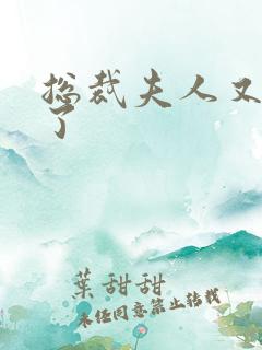 总裁夫人又征婚了