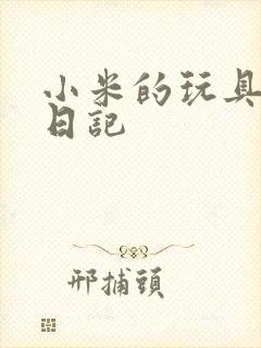 小米的玩具羞辱日记