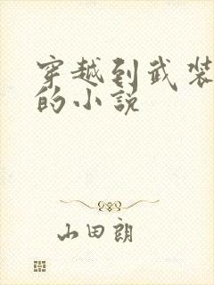 穿越到武装少女的小说