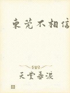 东莞不相信眼泪