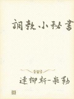 调教小秘书
