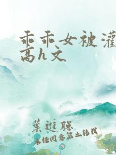 乖乖女被灌满精高h文