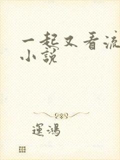 一起又看流星雨小说