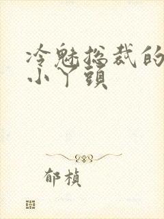 冷魅总裁的纯纯小丫头