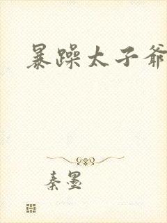 暴躁太子爷