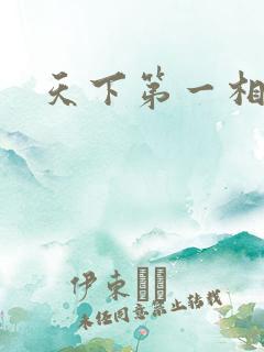 天下第一相书