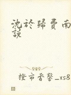 沈于归费南城小说