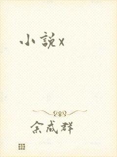 小说x
