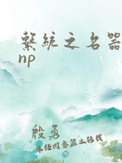 系统之名器攻略np