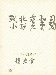 战北霆和司情的小说免费阅读