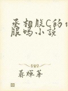 丞相朕C的你舒服吗小说