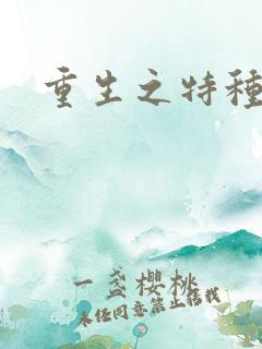 重生之特种女兵