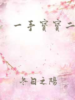 一手宝宝二手妻