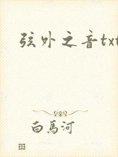弦外之音txt