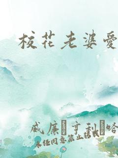 校花老婆爱上我