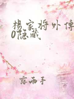 杨家将外传2.0隐藏