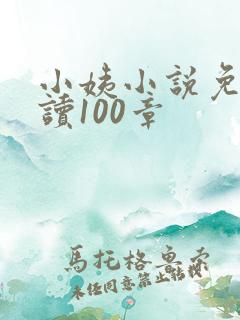 小姨小说免费阅读100章