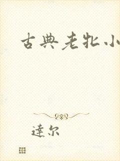 古典老牝小说