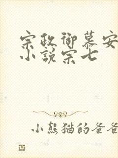 宗政御慕安安的小说宗七