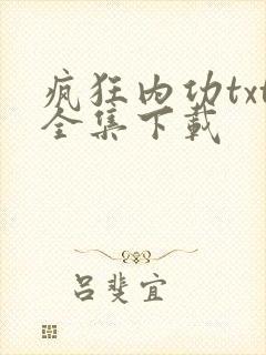 疯狂内功txt全集下载