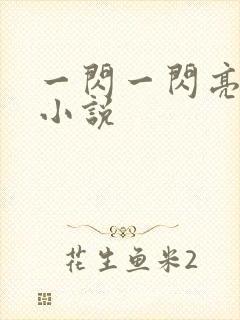 一闪一闪亮星星小说