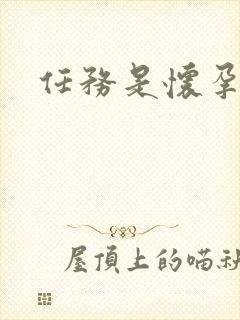 任务是怀孕系统