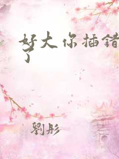 好大你插错地方了