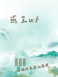 燕王wf
