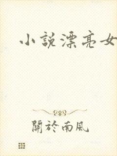 小说漂亮女局长