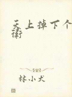 天上掉下个影卫卫